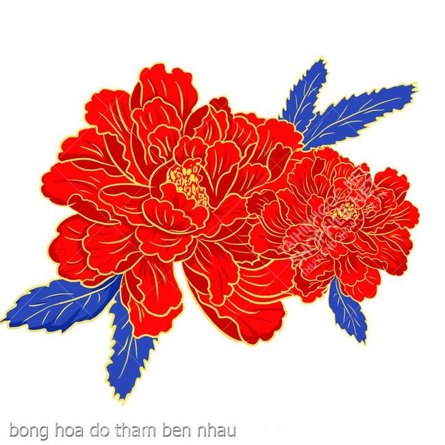 bong hoa do tham ben nhau